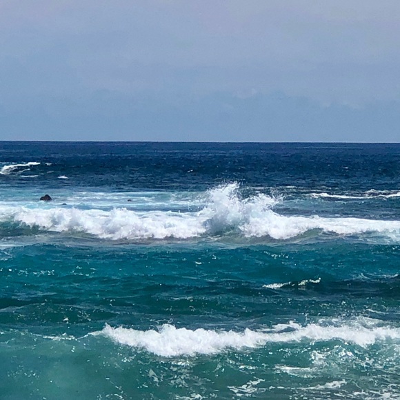 Meet your Posher, Margaret - Picture 1 of 1